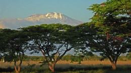Kilimandscharo Besteigung Tansania  