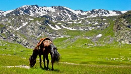 Kirgistan Trekking