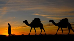 wüstenwanderung marokko