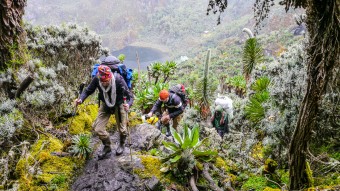 Ruwenzori Trekking und Berggorillas