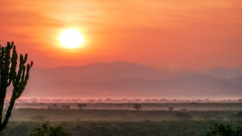 Safari durch Uganda mit Gorilla Trek