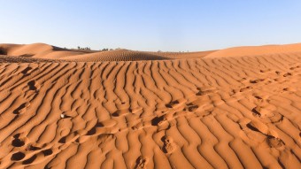 Wüstenwanderung beim Jbel Bani