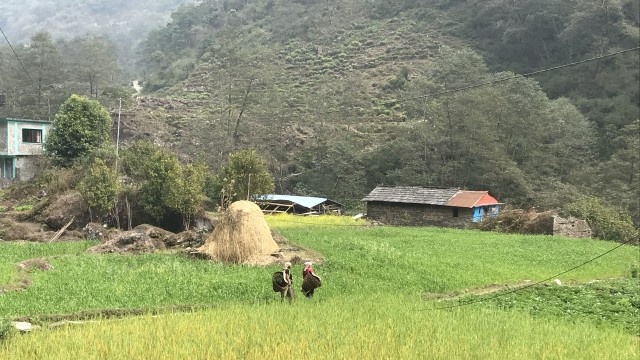 Start-des-Trek:-von-New-Bridge-nach-Jhinu-Danada--1780m-