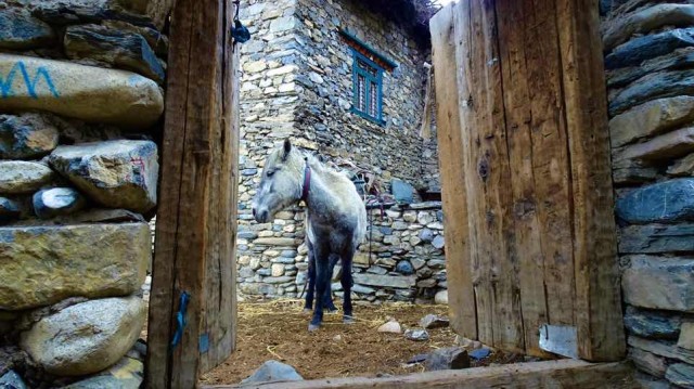 Fahrt-durch-das-tiefe-Kali-Gandaki-Tal-nach-Pokhara
