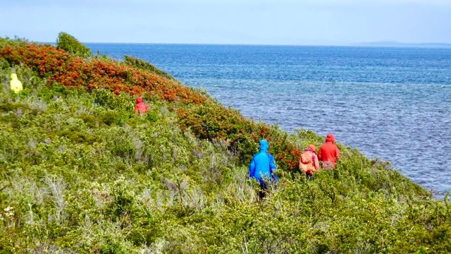 Kunduuml;stenwanderung-in-Punta-Arenas