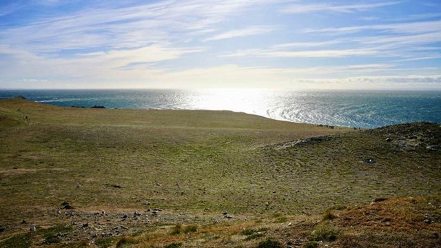 Auf-der-berunduuml;hmten-Magellan-Straundszlig;e