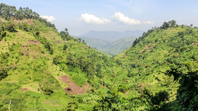 uganda-gorilla-trek