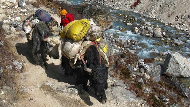 nepal trekking  
