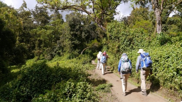 Mt.-Mkubwa-Camp--2650m-