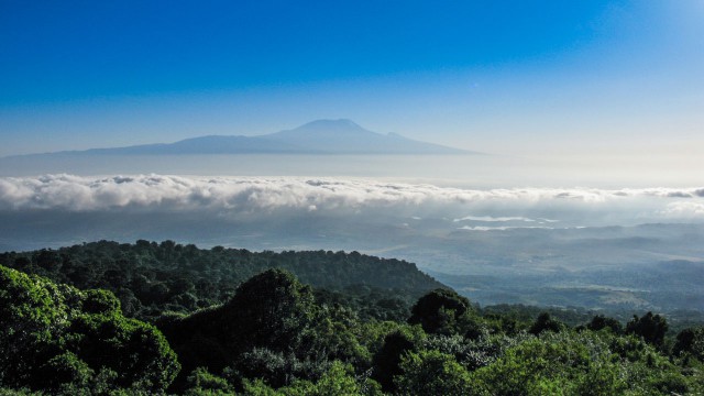 meru-kilimanjaro