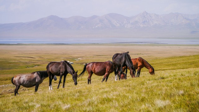 Kirgistan trekking 