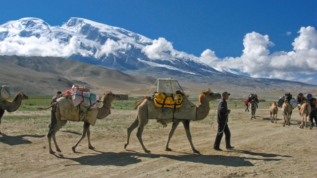 Muztagh Ata Expedition kamele anmarsch