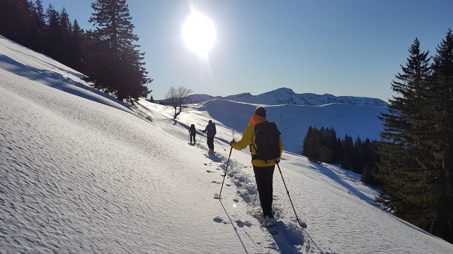 Schneschuhwanderung Tirol
