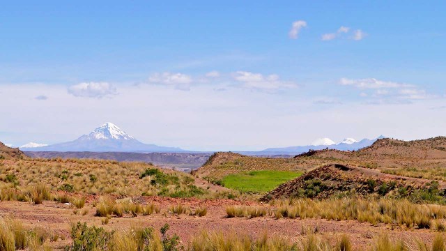 Sajama altiplano Bolivien