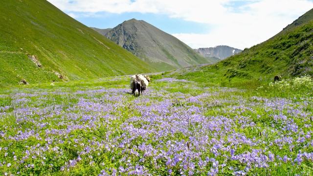 son-kul-trek