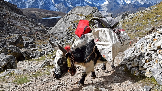 tibet-everest-trek