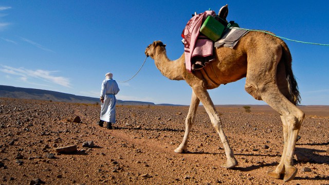 Marokko Wüstentrekking