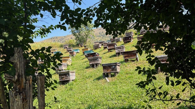 Im-Tal-der-30-Pundauml;sse Im-Tal-der-30-Pundauml;sse