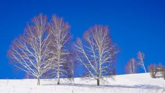 Wann ist die beste Reisezeit für Kasachstan?