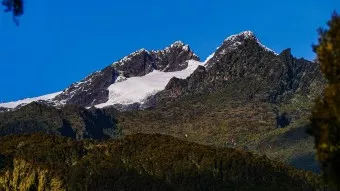 Ruwenzori mit Margherita Peak und Besuch der Berggorillas
