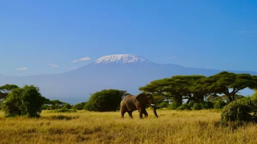 Individuelle Safaris in Kenia Individuelle Safaris in Kenia