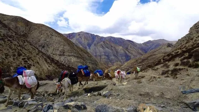 Jyanta-La-High-Camp-4850m