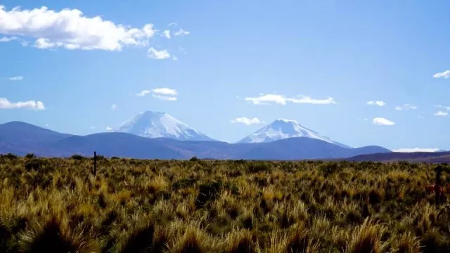 Lange-Fahrt-von-Jirira-nach-Sajama Lange-Fahrt-von-Jirira-nach-Sajama