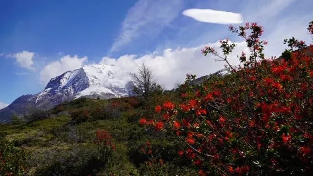 Trekking-am-O-Trail-etwas-umgeplant Trekking-am-O-Trail-etwas-umgeplant