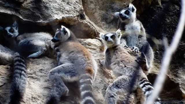madagaskar-entdeckungsreise
