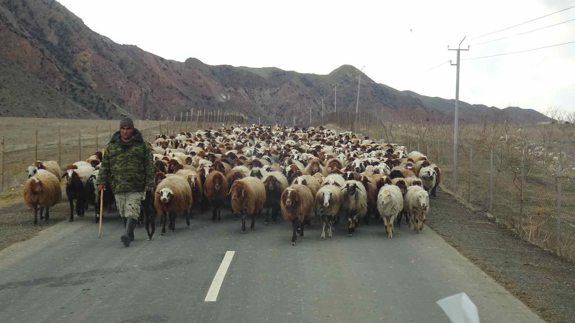 Gegenverkehr in Armenien