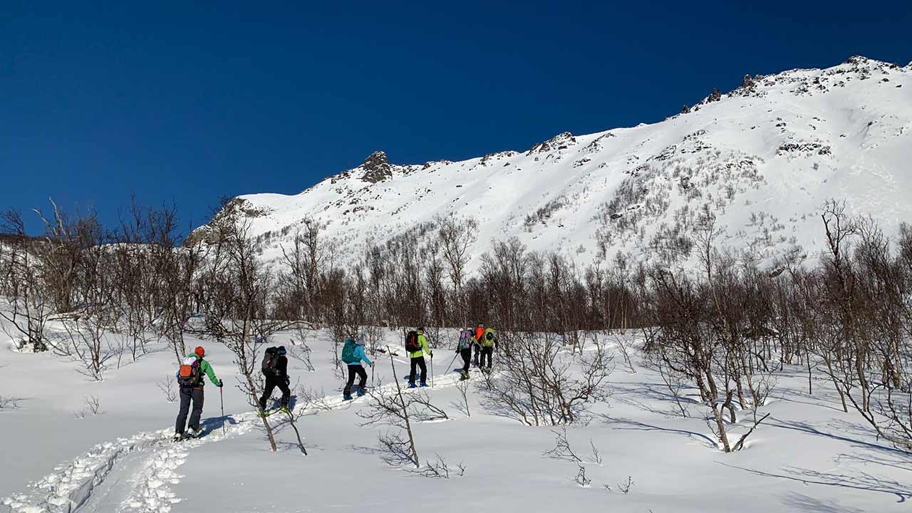 Start der Skitour im Jokelfjord